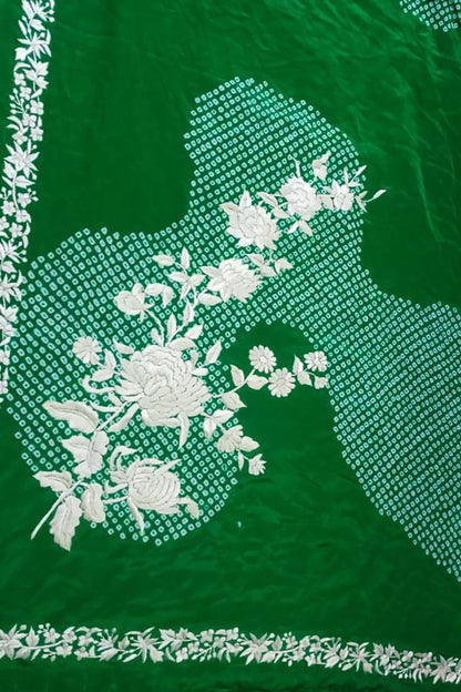 Exquisite Green Hand Embroidered Parsi Gara Crepe Hand Bandhej Saree - Luxurion World