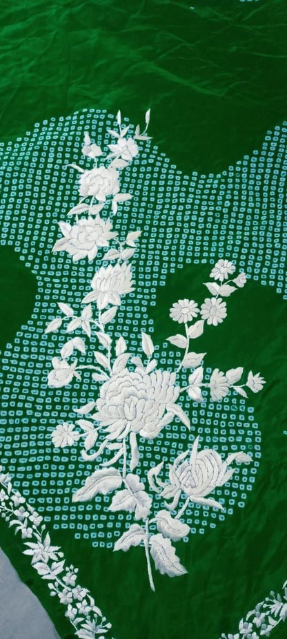 Exquisite Green Hand Embroidered Parsi Gara Crepe Hand Bandhej Saree - Luxurion World
