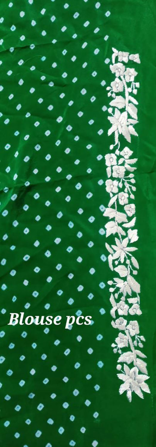 Exquisite Green Hand Embroidered Parsi Gara Crepe Hand Bandhej Saree - Luxurion World