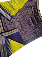 Stunning Green Handloom Double Ikat Silk Saree - Luxurion World