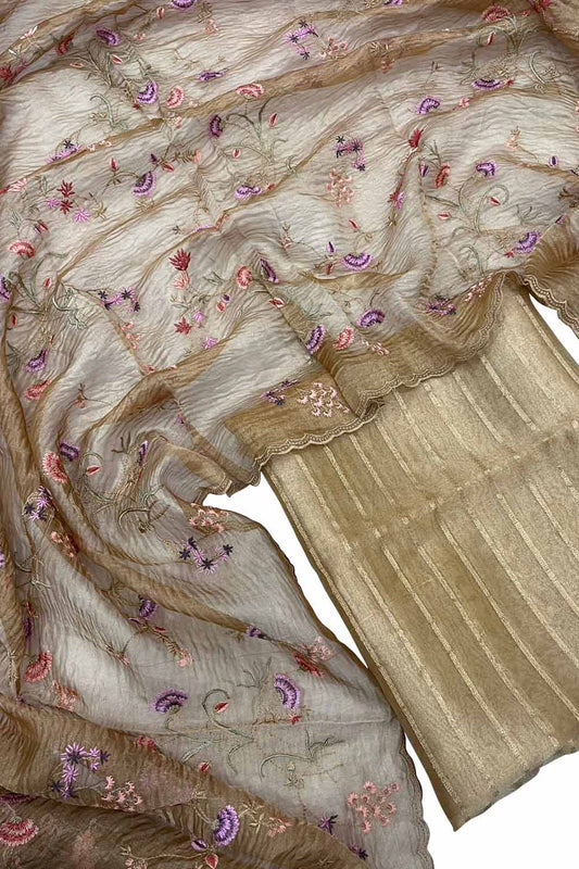 Pastel Banarasi Tissue Silk Embroidered Suit