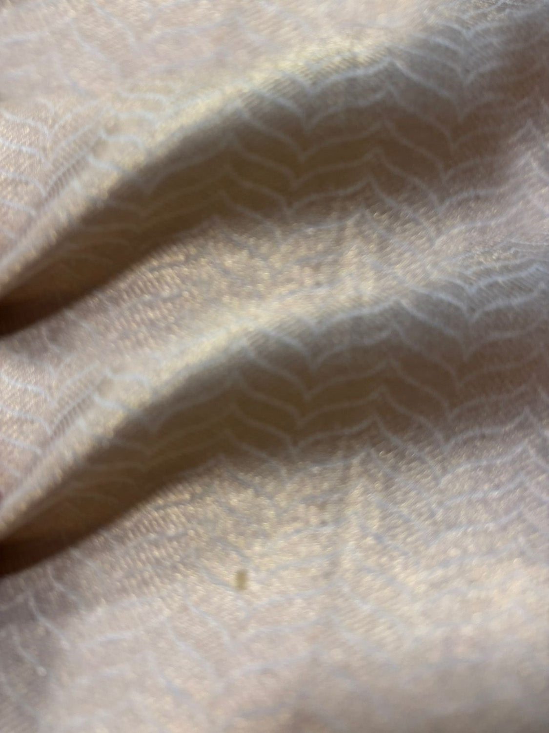 Pastel Handloom Banarasi Tissue Katan Silk Fabric ( 1 Mtr )