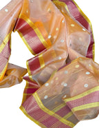 Golden Handloom Chanderi Katan Organza Saree — Zari Sheen, Bridal