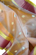 Golden Handloom Chanderi Katan Organza Saree — Zari Sheen, Bridal