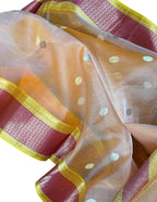 Golden Handloom Chanderi Katan Organza Saree — Zari Sheen, Bridal