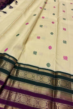 Pastel Handloom Kanjeevaram Pure Silk Saree