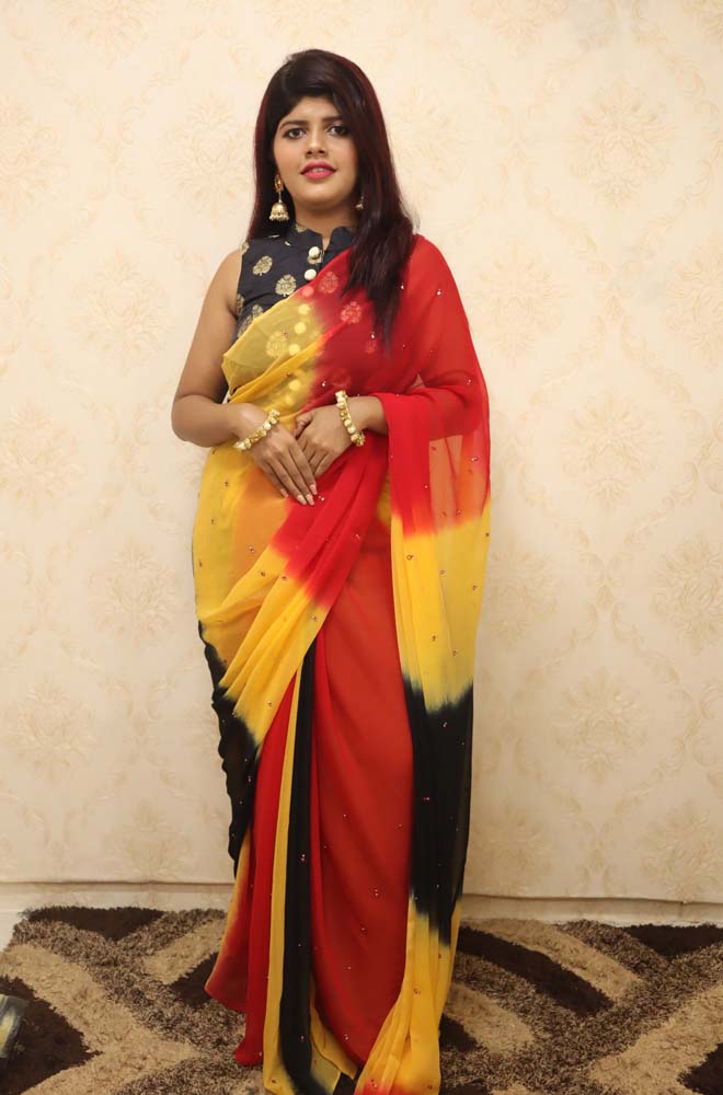 Multicolor Gota Patti Chiffon Saree - Luxurion World