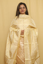Chic Pastel Banarasi Silk Dupatta: Effortless Elegance - Luxurion World