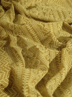 Pastel Embroidered Chikankari Georgette Sequins Work Saree - Luxurion World