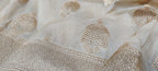Pastel Handloom Banarasi Silk Jhumka Design Dupatta - Luxurion World
