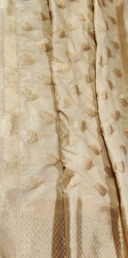 Pastel Handloom Banarasi Silk Jhumka Design Dupatta - Luxurion World