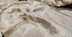 Pastel Handloom Banarasi Silk Jhumka Design Dupatta - Luxurion World