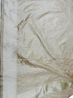 Pastel Handloom Banarasi Pure Katan Silk Dupatta - Luxurion World