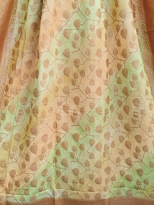 Multicolor Banarasi Handloom Moonga Silk Brush Dye Dupatta - Luxurion World