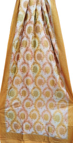 Multicolor Banarasi Handloom Moonga Silk Brush Dye Dupatta - Luxurion World