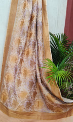 Multicolor Banarasi Handloom Georgette Brush Dye Dupatta - Luxurion World