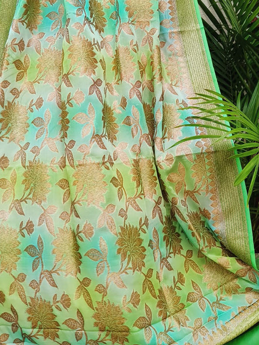 Multicolor Banarasi Handloom Georgette Brush Dye Dupatta - Luxurion World
