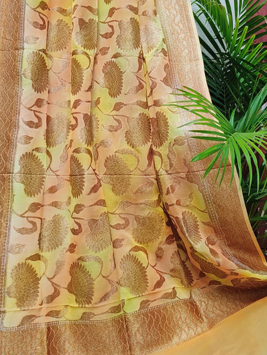 Multicolor Banarasi Handloom Georgette Brush Dye Dupatta - Luxurion World