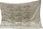 Pastel Banarasi Handloom Brush Dye Pure Moonga Silk Dupatta - Luxurion World