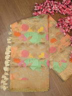 Pastel Handloom Banarasi Net Kora Silk Meenakari Dupatta - Luxurion World