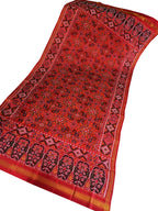 Red Semi Patan Patola Handloom Pure Silk Dupatta - Luxurion World