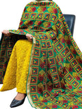 Multicolor Phulkari Embroidered Chinon Dupatta - Luxurion World