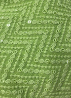 Stunning Green Chikankari Georgette Fabric with Embroidery - Luxurion World