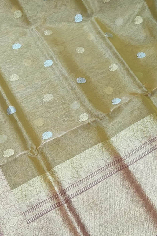 Exquisite Pastel Banarasi Handloom Tissue Silk Saree - Luxurion World