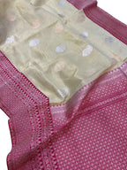 Elegant Pastel Banarasi Handloom Pure Tissue Silk Saree - Luxurion World