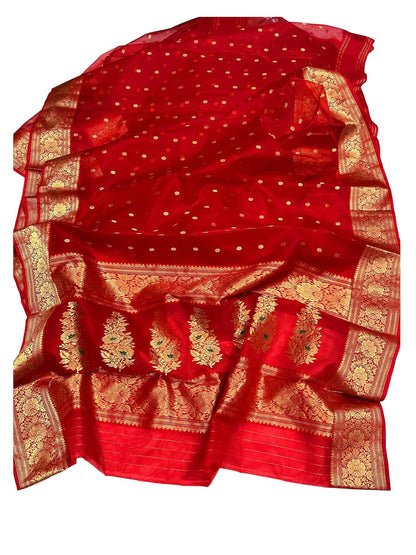 Red Chanderi Handloom Pure Katan Organza Silk Saree - Luxurion World