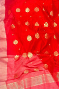 Red Chanderi Handloom Silk Cotton Saree - Luxurion World