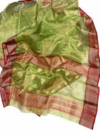 Exquisite Green Chanderi Handloom Tissue Katan Organza Saree - Luxurion World
