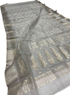 Elegant Off White Chanderi Handloom Pure Katan Silk Saree - Luxurion World