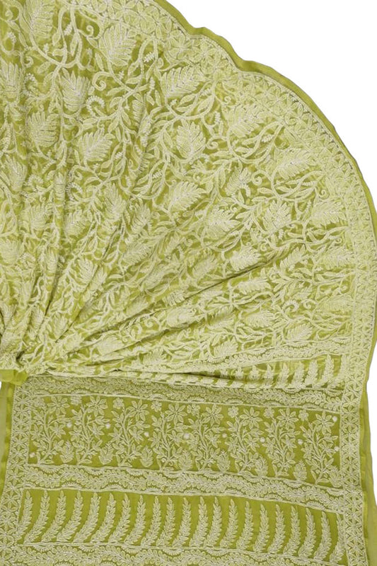 Green Hand Embroidered Chikankari Chiffon Georgette Saree - Luxurion World