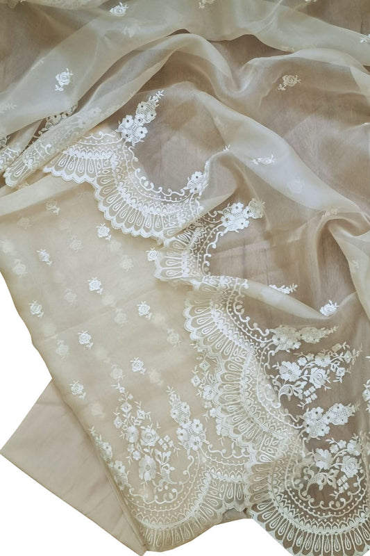 Stunning Off White Banarasi Embroidered Organza Suit Set - Unstitched - Luxurion World