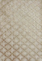 Dyeable Banarasi Chanderi Silk Fabric ( 1 Mtr ) - Luxurion World