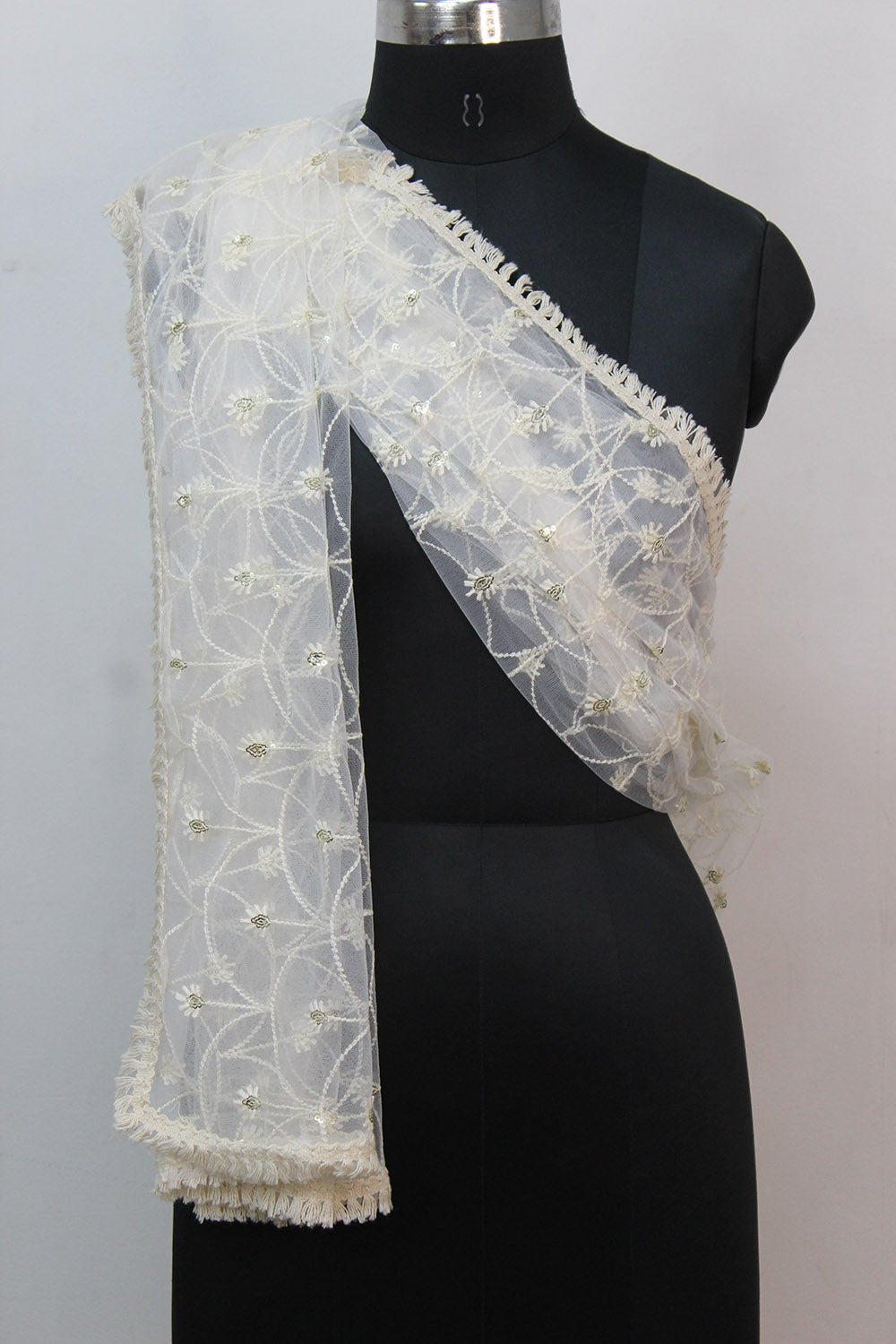 Dyeable Trendy Net Sequins Work Dupatta - Luxurion World
