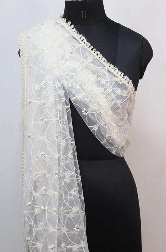Dyeable Trendy Net Sequins Work Dupatta - Luxurion World