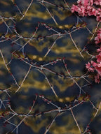 Multicolor Digital Printed Crepe Fabric (1 mtr) - Luxurion World