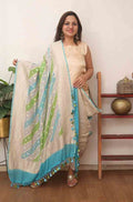 Multicolor Handloom Banarasi Pure Georgette Brush Dye Dupatta - Luxurion World