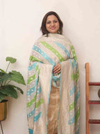 Multicolor Handloom Banarasi Pure Georgette Brush Dye Dupatta - Luxurion World