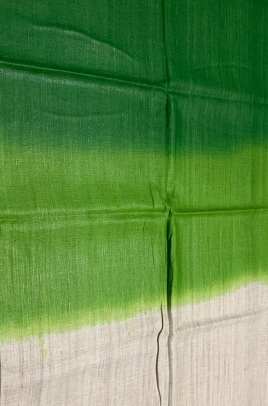 Multicolor Handloom Bhagalpur Eri Ghicha Silk Dupatta - Luxurion World