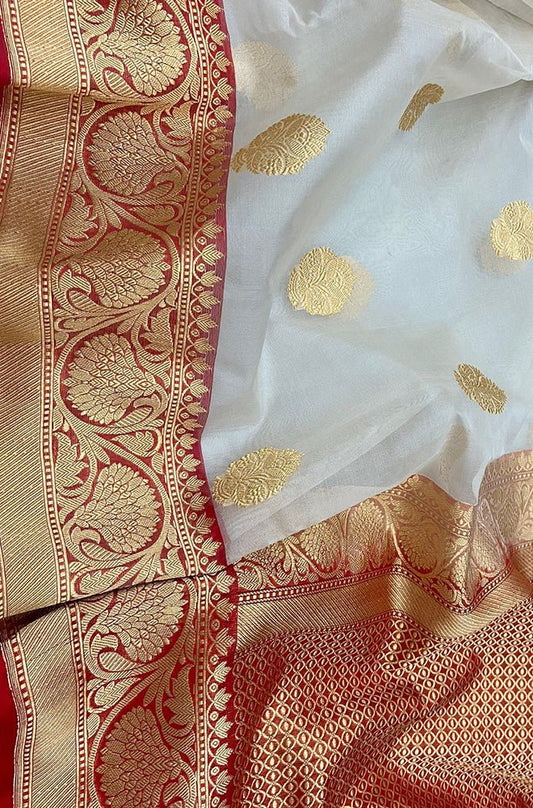 Off White Handloom Banarasi Pure Kora Silk Big Border Saree - Luxurion World