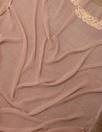 Pastel Embroidered Kashmiri Aari Work Georgette Saree - Luxurion World