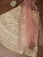 Pastel Hand Embroidered Zardozi Raw Silk Sequins Work Semi Stitched Lehenga Set - Luxurion World