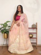 Pastel Hand Embroidered Zardozi Raw Silk Sequins Work Semi Stitched Lehenga Set - Luxurion World