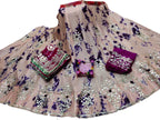 Pastel Hand Gota Patti Work Chinon Lehenga Set - Luxurion World
