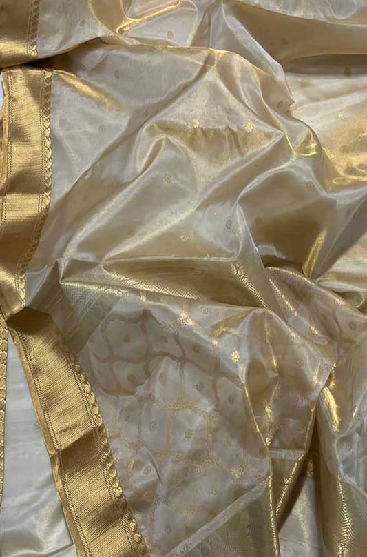 Pastel Handloom Chanderi Pure Tissue Silk Saree - Luxurion World
