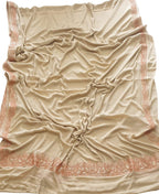 Pastel Plain Embroidered Kashmiri Tila Work Crepe Saree - Luxurion World