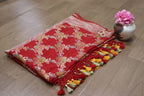 Red Handloom Banarasi Brush Dye Pure Georgette Dupatta - Luxurion World